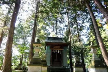 Gallery image