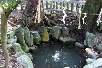 Two Historical Ponds at Taicho-ji