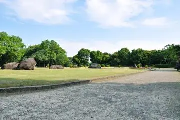 A carpet of green (Photo: Yuko T)