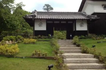 Gallery image