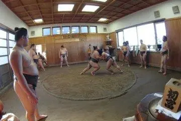 L'écurie de Sumo Tatsunami [Fermé]