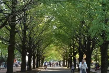 Peaceful Hikarigaoka Park