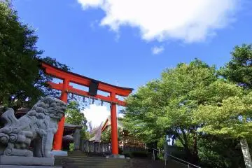 Gallery image