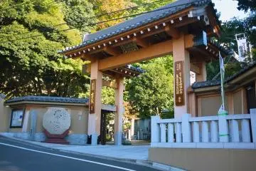 Gallery image