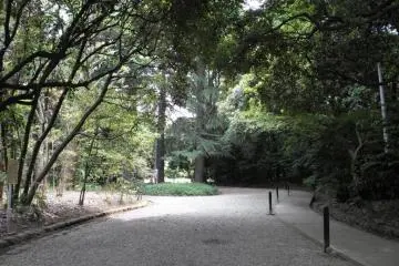 Broad gravel pathway (Photo: Sue Ann Kunath)