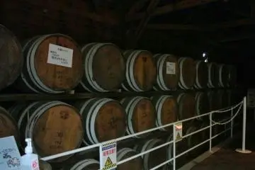 Maturing Whisky (Photo: Yoshiko Toyama)