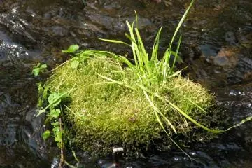 The water stays at a constant 10 degrees Celsius all year