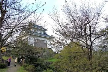 Gallery image