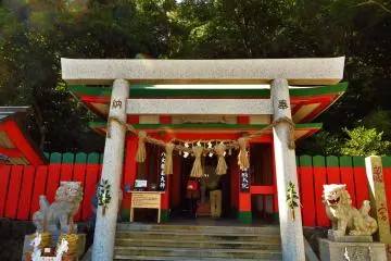 Gallery image