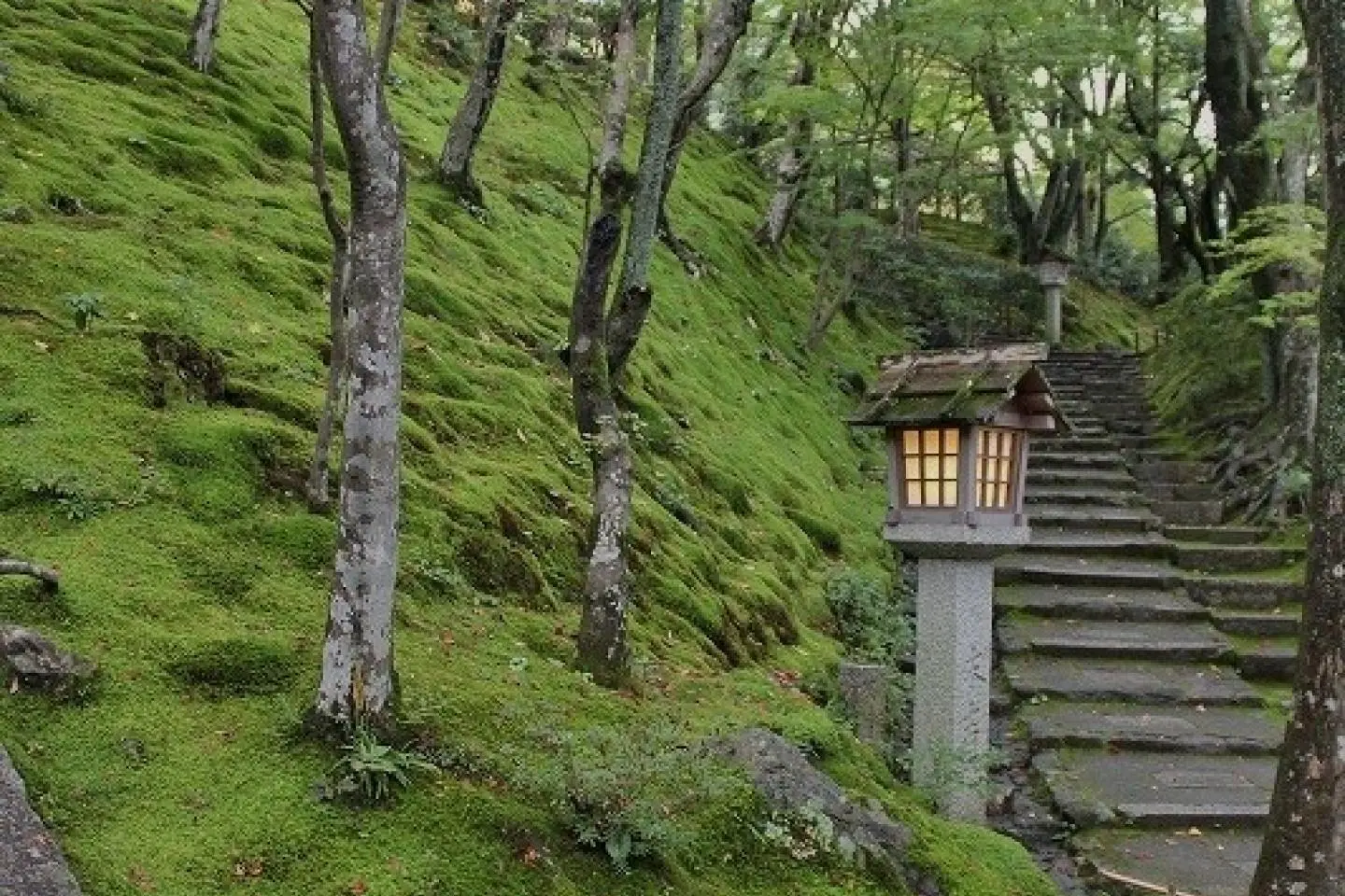 京都・嵯峨野「常寂光寺」を歩く~2