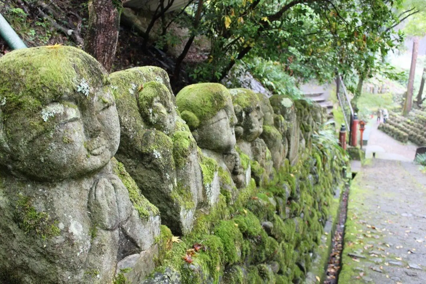 京都嵯峨野路を歩く~1