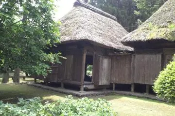 Jingu Shrine, Nature Museum