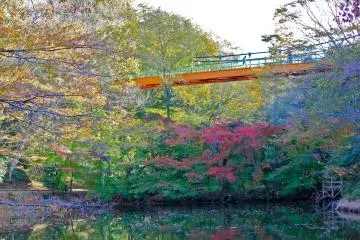 Izumi Nature Park Bridge in Chiba