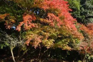 Tatsuda Nature Park