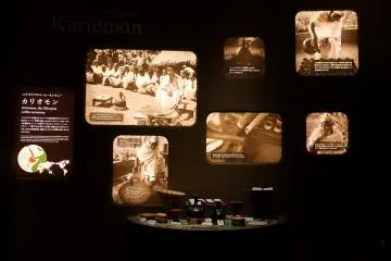 Gallery image