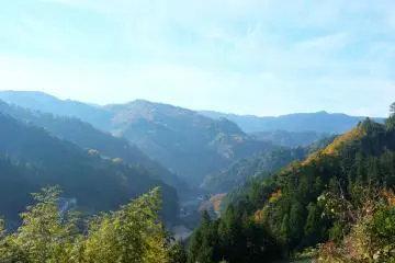 Kamisuki Experience in Kochi