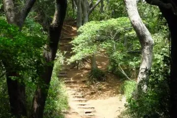 Daibutsu Hiking Trail, Kamakura