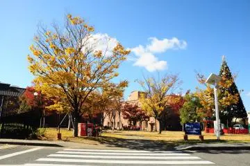 Noritake Garden in Autumn
