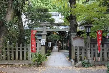 Gallery image