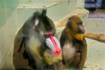 Photo: <a href="http://en.japantravel.com/author/jessica.paje/profile" target="_blank" rel="noreferrer noopener nofollow">Jessica Paje</a>