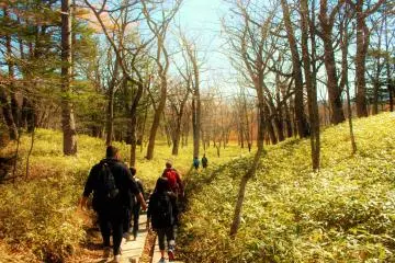 Nikko's Senjō-ga-hara Plateau