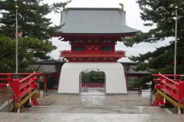 Gallery image
