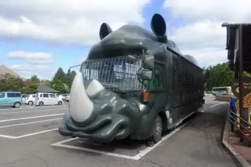 African Safari Park