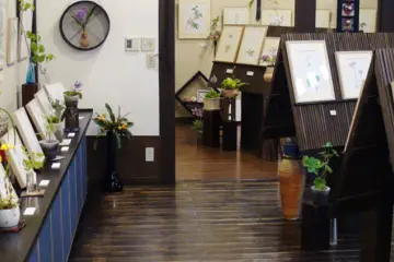 Wild Flower Gallery