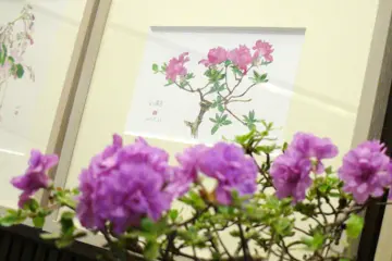 Watercolor and Subject (Photo: <a href="http://www.toyama-yasuo.jp" target="_blank" rel="noreferrer noopener nofollow">Yasuo Toyama</a>)