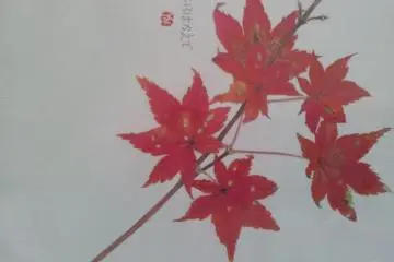 Simple and stunning