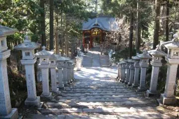 Gallery image