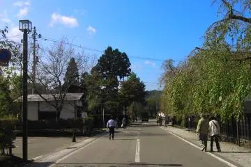 Autumn in Akita