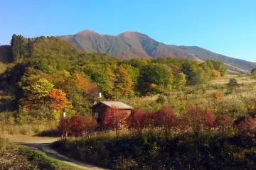 Autumn in Akita. (Photo: Purwandini Sakti Pratiwi)