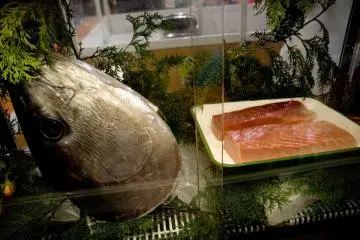 FoodEx Fish (Photo: <a href="https://www.flickr.com/photos/elmimmo/439647541/" target="_blank" rel="noreferrer noopener nofollow">Elmimmo</a> / <a href="https://creativecommons.org/licenses/by/2.0/" target="_blank" rel="noreferrer noopener nofollow">CC BY 2.0</a>)