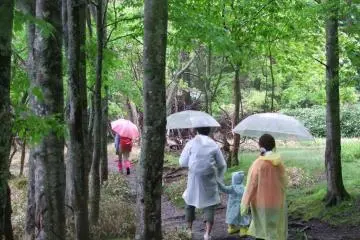 Hiking in Nikko in the Rain