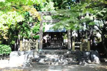 Gallery image