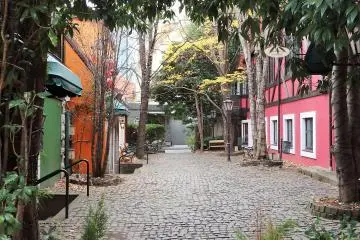 Gallery image