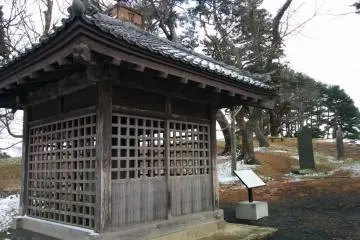 Gallery image