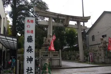 Gallery image