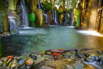 Aoshima's Hidden Japanese Garden 