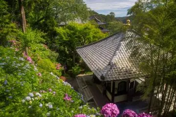 Kamakura's Hase-dera