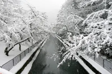 Snow along Biwako Canal