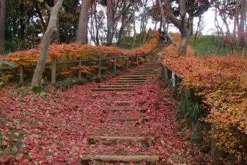 Tenran-Tonosu Mountain Trail 