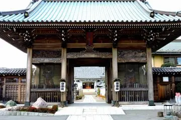 Gallery image