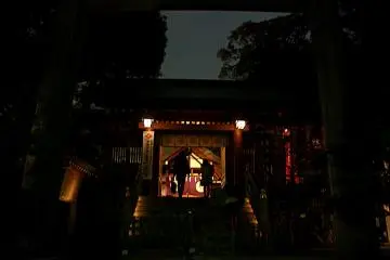 Searching for Love in Tokyo