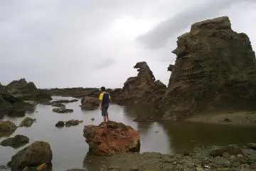 Godzilla and Oga Peninsula
