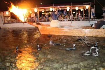 The Beauty of Cormorant Night Fishing