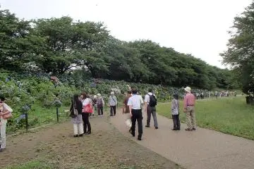 Photo: 権現堂公園管理事務所