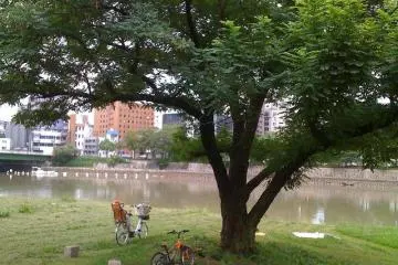 Traffic-Free Riverside Route