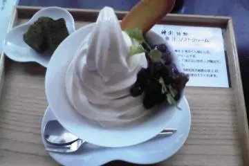 Kansou Seaweed Ice Cream